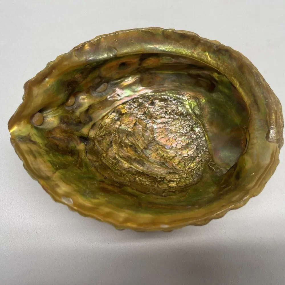 Vintage Iridescent Abalone Shell Trinket Candy Dish Footed Bowl Natural Decor